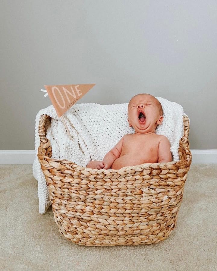 Lucy Darling Petit Milestone Pennants – Baby Monthly Milestone Pennant Flags – Newborn Photo Props & Felt Nursery Decor – Keepsake Banner Set for Baby Photos – Mountain Fields