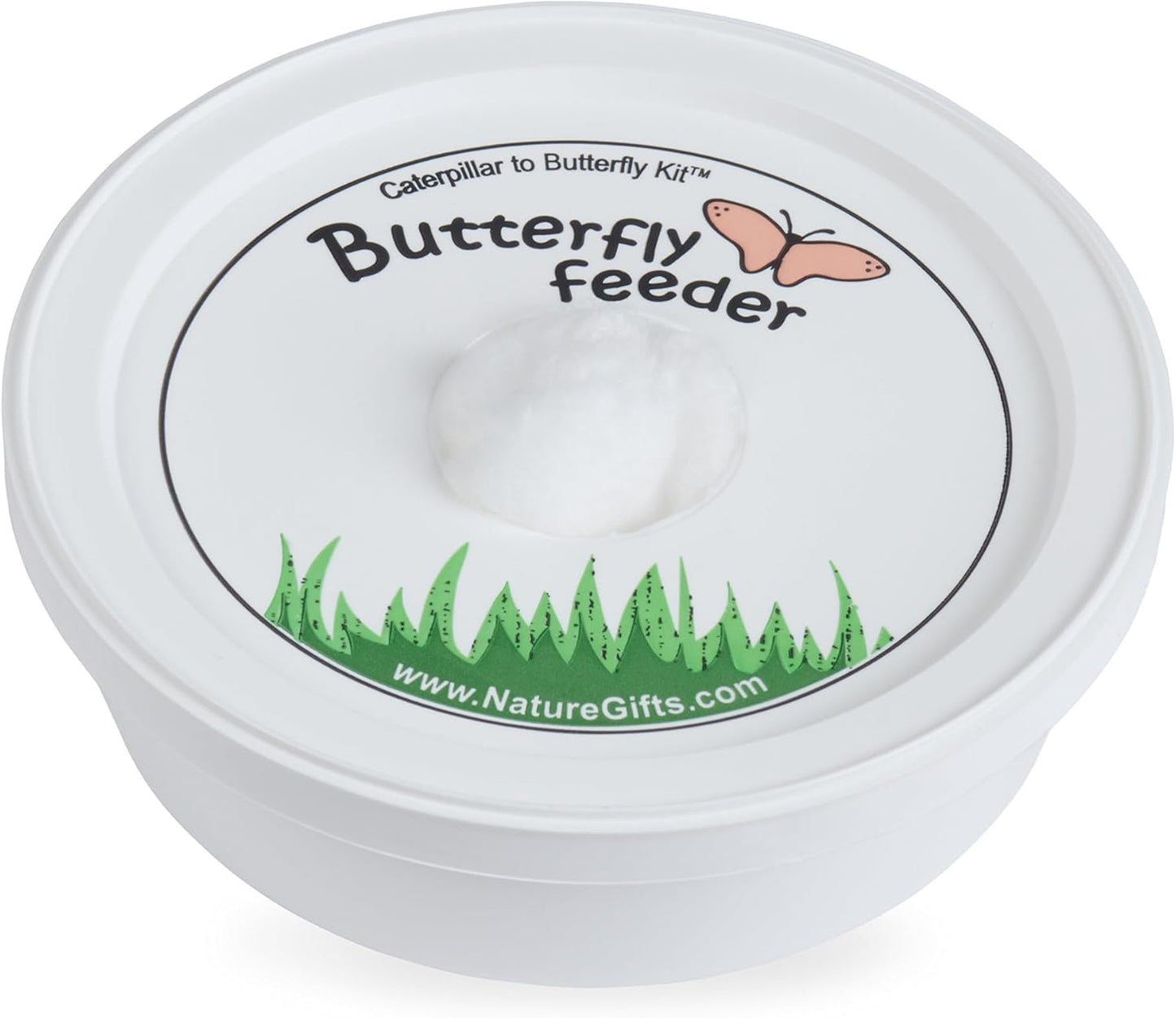 32 Live Caterpillars Shipped Now: Butterfly Kit Refill for School Sized Kit with Extra Larva Rearing Supplies and 32 Little Cups by Nature Gift Store
