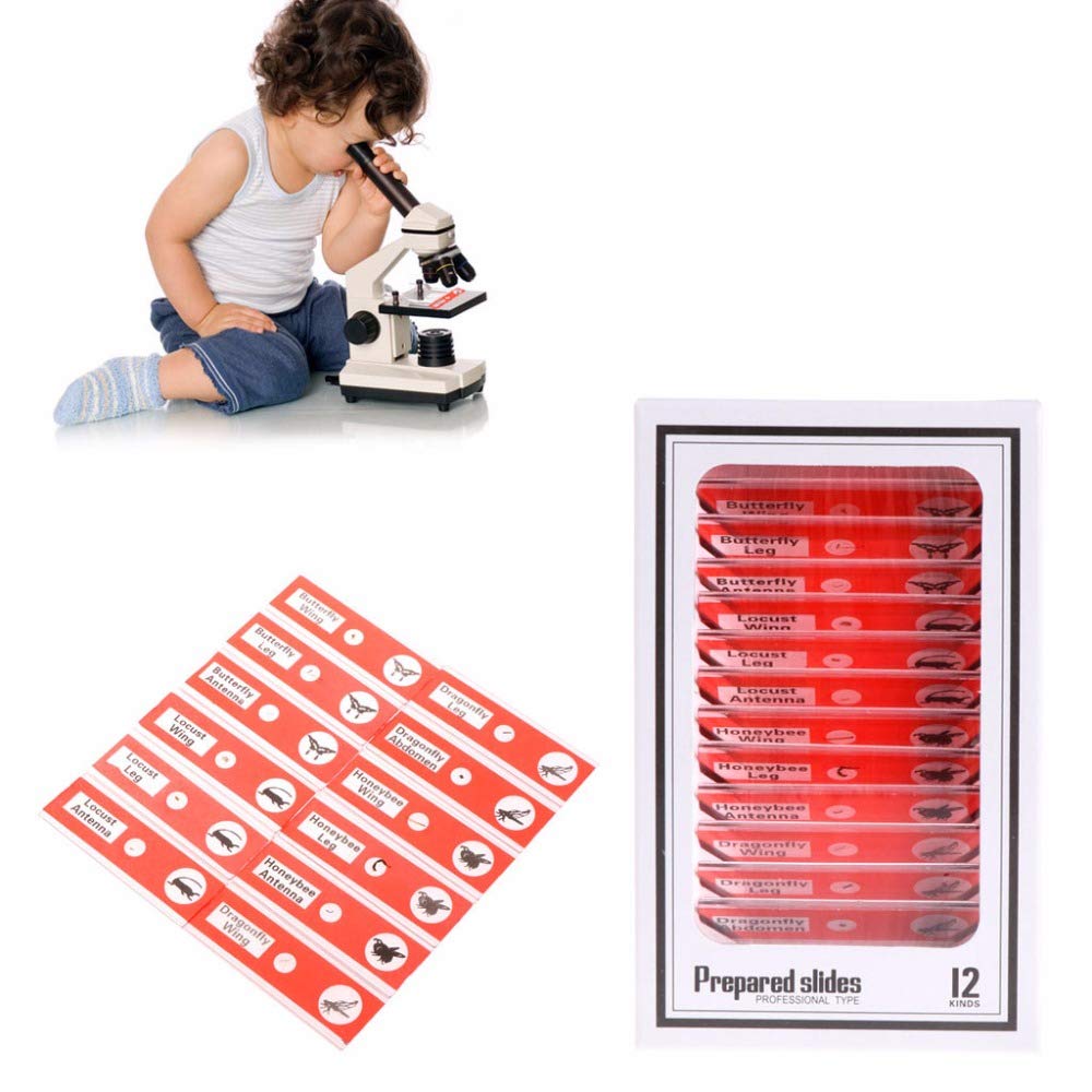 Prepared Microscope Slides for Kids, 48pcs Plastic Animals Insects Plants Flowers Sample Specimens for Students Children Homeschooling Biology Science Programs