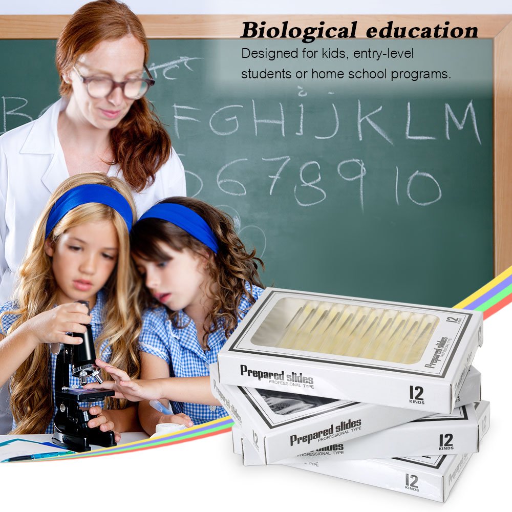 Prepared Plastic Microscope Slides with Specimens for Kids, Microscope Sample Slides Full Range of Animal/Plant/Insect/Blood Biology Slides Gift Set for Kids Microscope (60PCS)