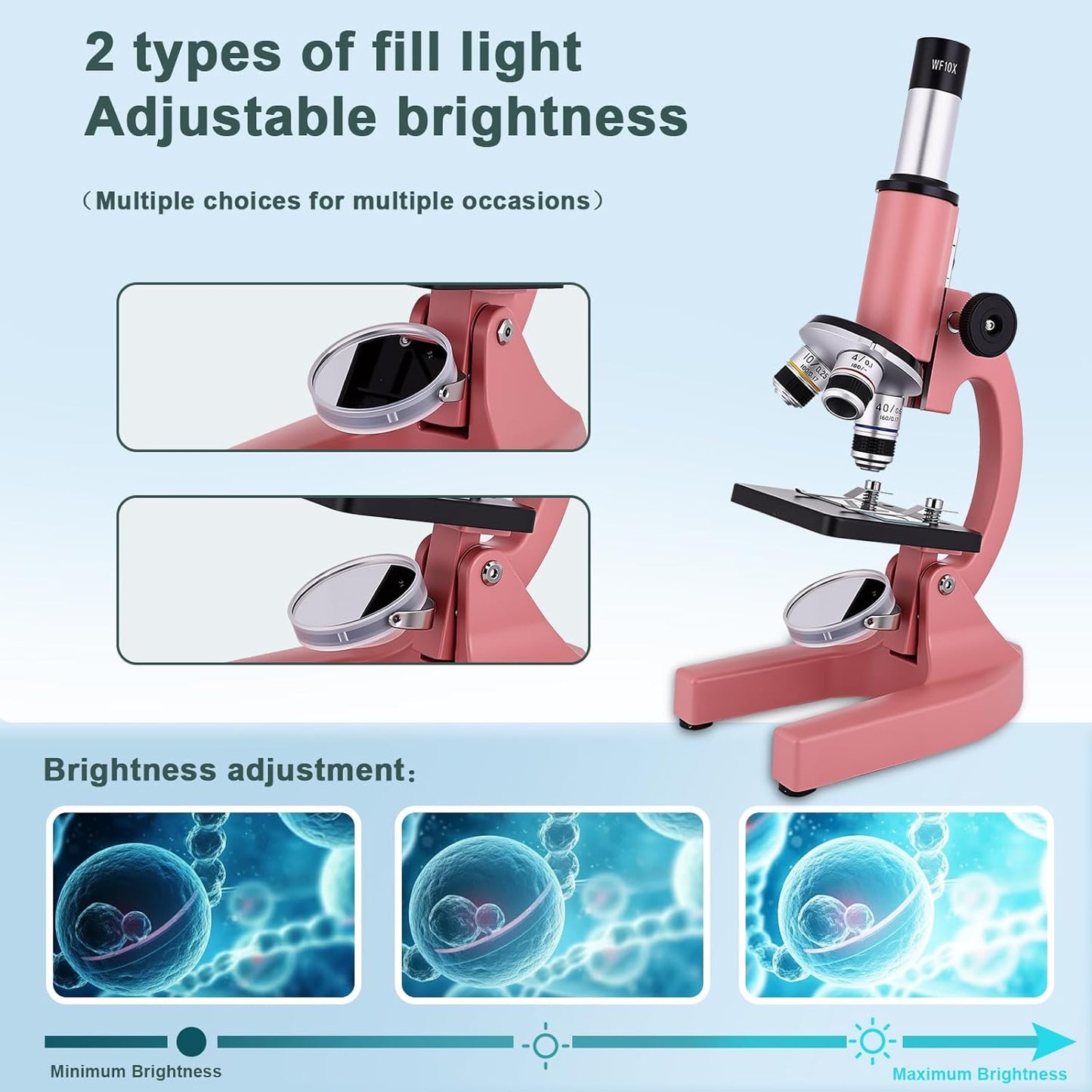 Microscope for Kids 40X-2000X with LED supplemental Light, Slides and specimens, Microscope for Kids 8-12 for School Labs and homeschooling.