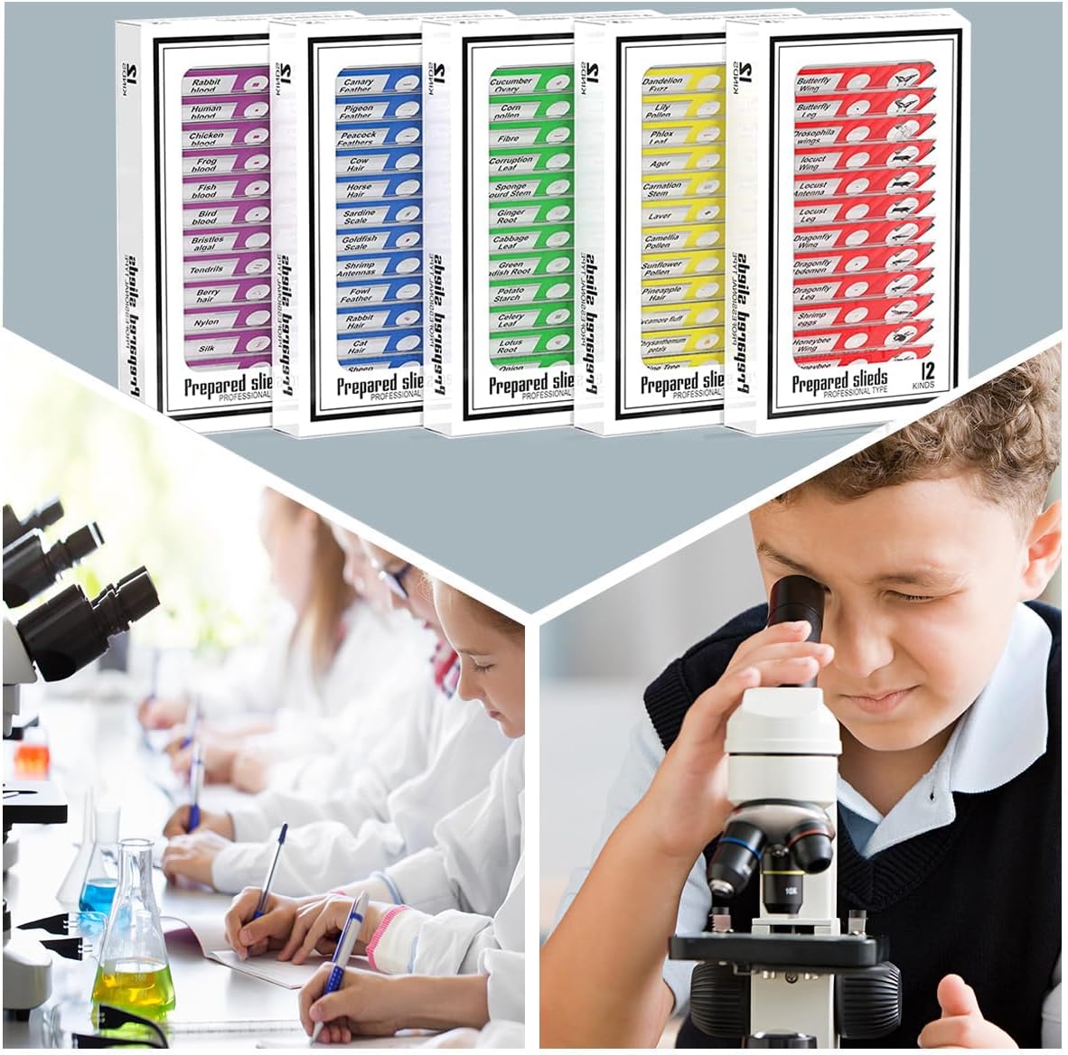 Plastic Prepared Microscope Slides for Kids, Cainda 60pcs Animals Insects Plants Flowers Biological Sample, Stereo Microscope Slide for Students Adult Biology Science Programs