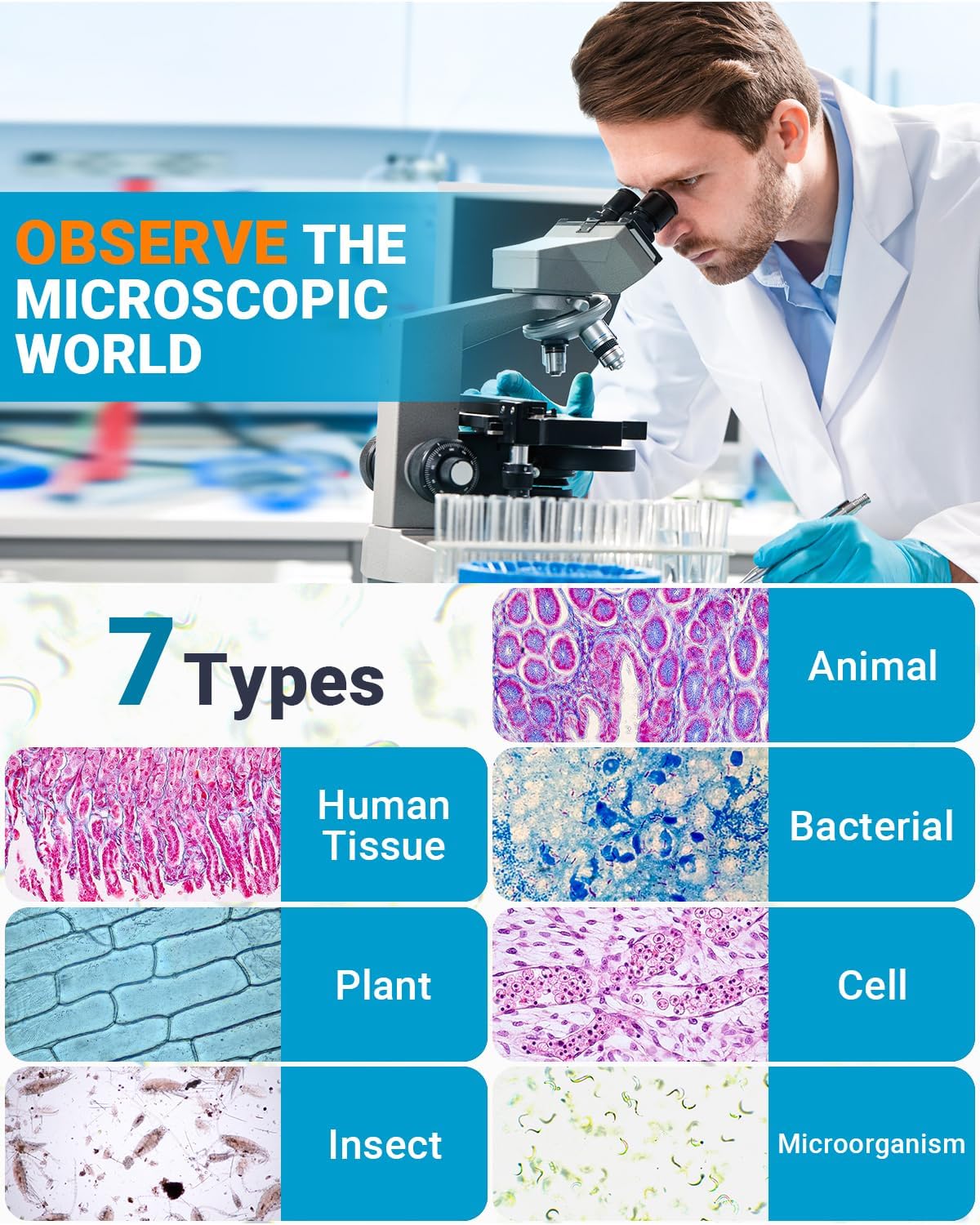 Microscope Slides and Covers Kit – 50 Blank Pre-Cleaned Glass Slides for Microscope, 100 Cover Slips, for Teachers, Students, Families, and Science Enthusiasts