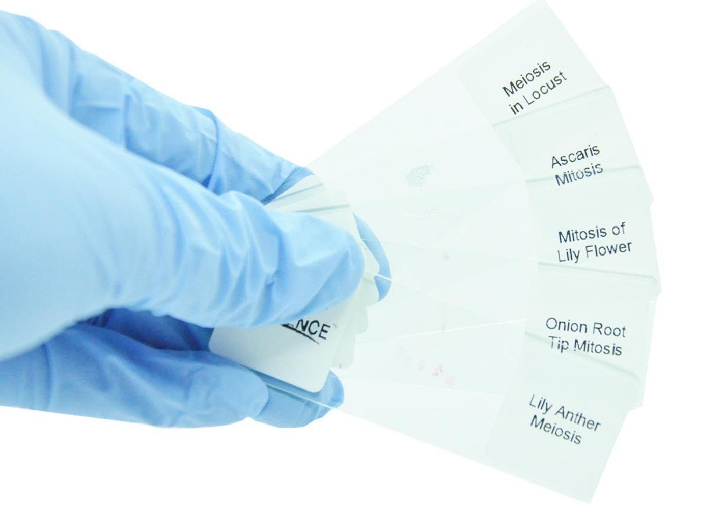 Lab Instruments & Equipment