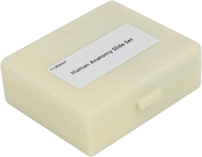 Prepared Human Tissue Anatomy Microscope Slides Set, 17pcs Hand-Prepared Slides Survey The Major Tissues and Organs of Human Body Dedicated to Human Physiology (Human Anatomy)