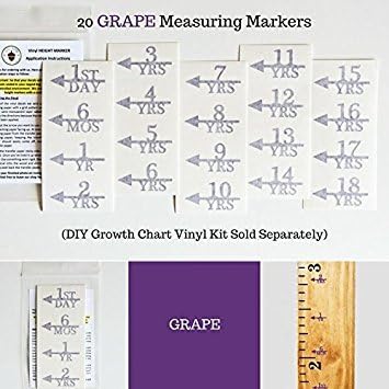 Little Acorns ADD ON - DIY Vinyl Growth Chart Ruler - Height Marker Arrows ONLY