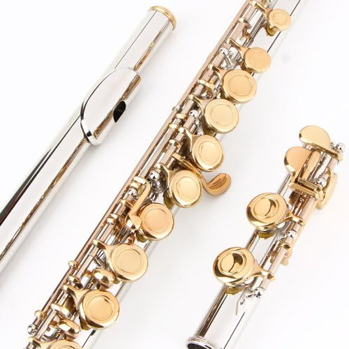 Glory Closed Hole C Flute With Case, Tuning Rod and Cloth and Gloves, Nickel/Laquer