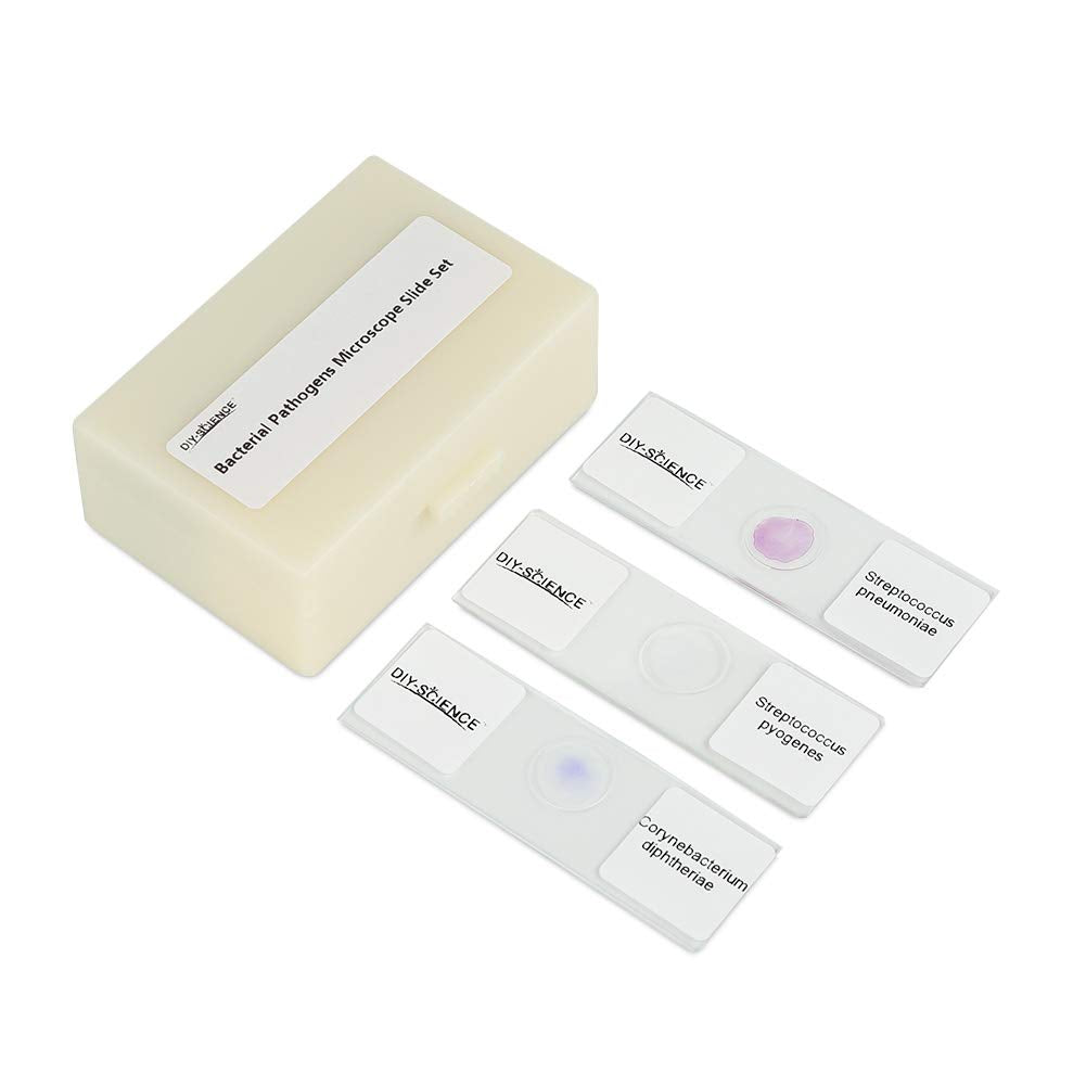 Prepared Bacterial Pathogens Microscope Slide Set, 12pcs Demonstrates The Bacteria Pathogens Responsible for Diseases of Animals