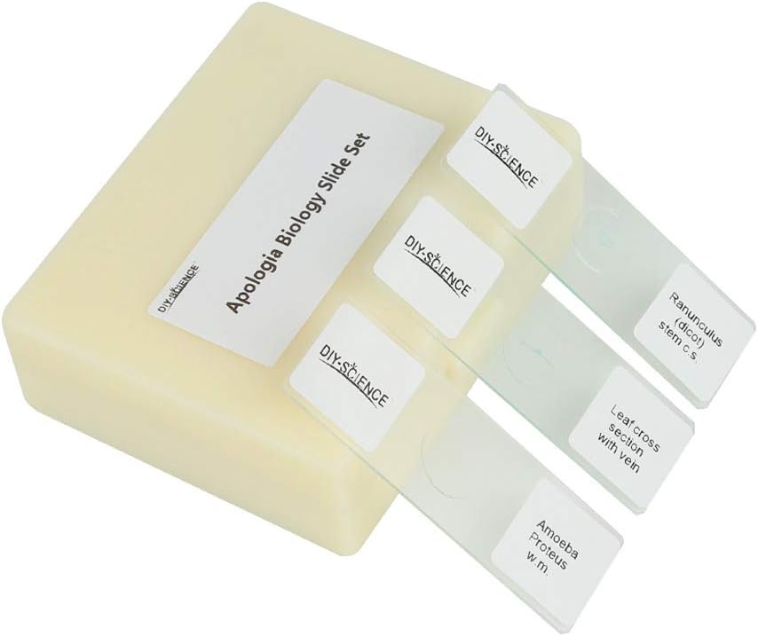 Prepared Microscope Slides Set for Apologia Biology, Pack of 16pcs Specimens Specifically for Biology Course (Apologia Slides)