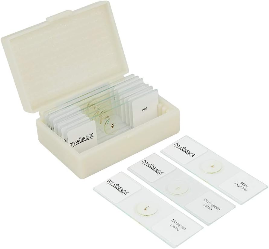 Prepared Whole Insects Microscope Slides Set, 10pcs Specimens for Kids Students Biology Class, Educational Gift (Whole Insects)