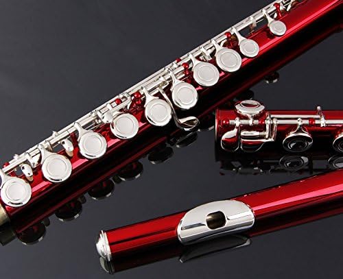 Glory Closed Hole C Flute With Case, Tuning Rod and Cloth and Gloves, Red