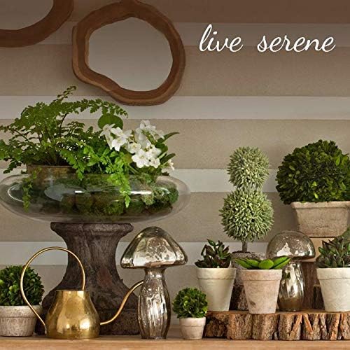 Serene Spaces Living Set of 4 Tall Clear Ribbed Glass Votive Holder, Perfect for Weddings and Home Décor, Measures 6.25" Tall and 2.25" Diameter