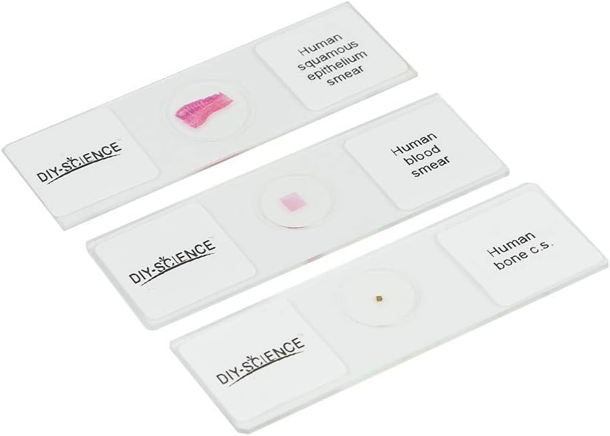 Prepared Human Tissue Anatomy Microscope Slides Set, 17pcs Hand-Prepared Slides Survey The Major Tissues and Organs of Human Body Dedicated to Human Physiology (Human Anatomy)