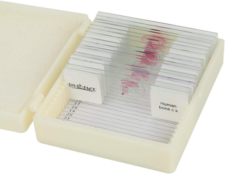 Prepared Human Tissue Anatomy Microscope Slides Set, 17pcs Hand-Prepared Slides Survey The Major Tissues and Organs of Human Body Dedicated to Human Physiology (Human Anatomy)