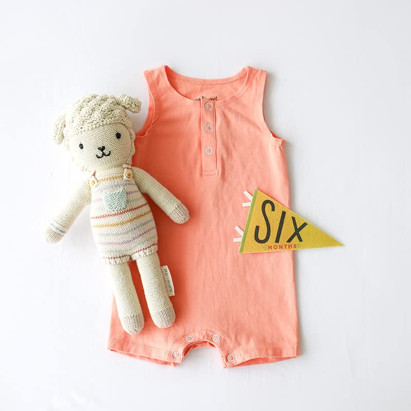 Lucy Darling Petit Milestone Pennants – Baby Monthly Milestone Pennant Flags – Newborn Photo Props & Felt Nursery Decor – Keepsake Banner Set for Baby Photos – Little Kaleidoscope