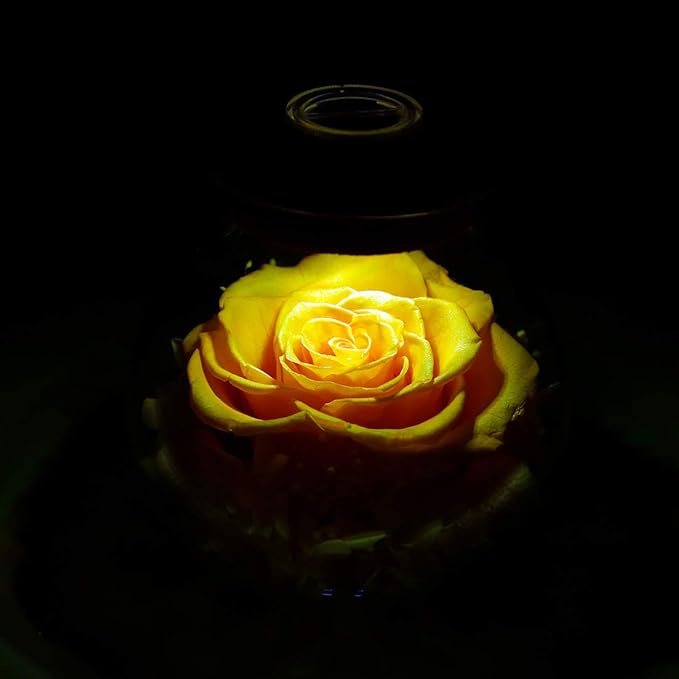 Preserved Real Roses with Colorful Mood Light Wishing Bottle,Eternal Rose，Never Withered Flowers, a Gifts for Women 4.3inch 1pcs (Yellow)