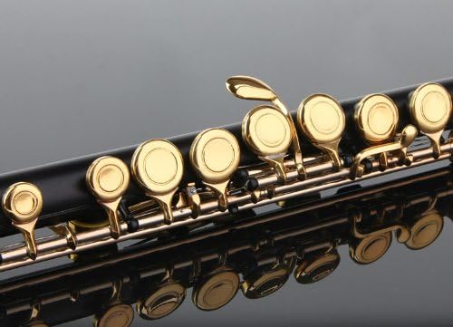 Glory Closed Hole C Flute With Case, Tuning Rod and Cloth and Gloves black/Laquer