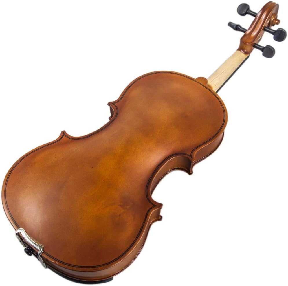 Paititi Artist-100 Student Violin Starter Kit with Brazilwood Bow Lightweight Case, Extra Strings, Rosin and Fingerchart (1/2)