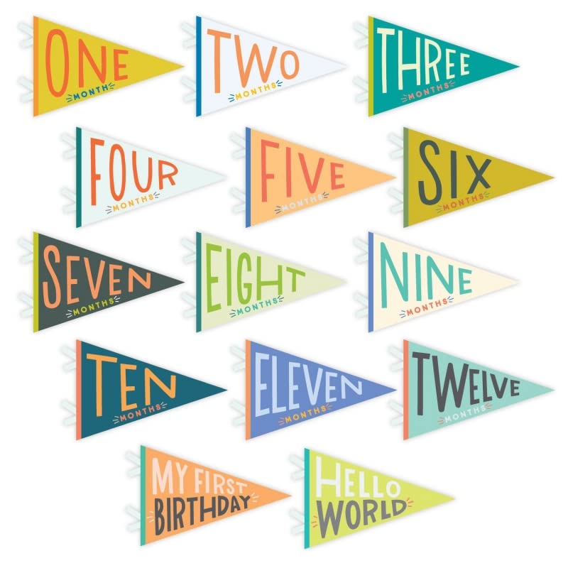 Lucy Darling Petit Milestone Pennants – Baby Monthly Milestone Pennant Flags – Newborn Photo Props & Felt Nursery Decor – Keepsake Banner Set for Baby Photos – Little Kaleidoscope