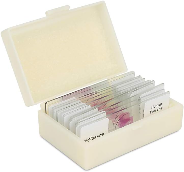 Prepared Human Pathology Microscope Slide Set, 12pcs Research-Quality Prepared Tissue Microscope Slides of Human Diseases (Human Pathology)