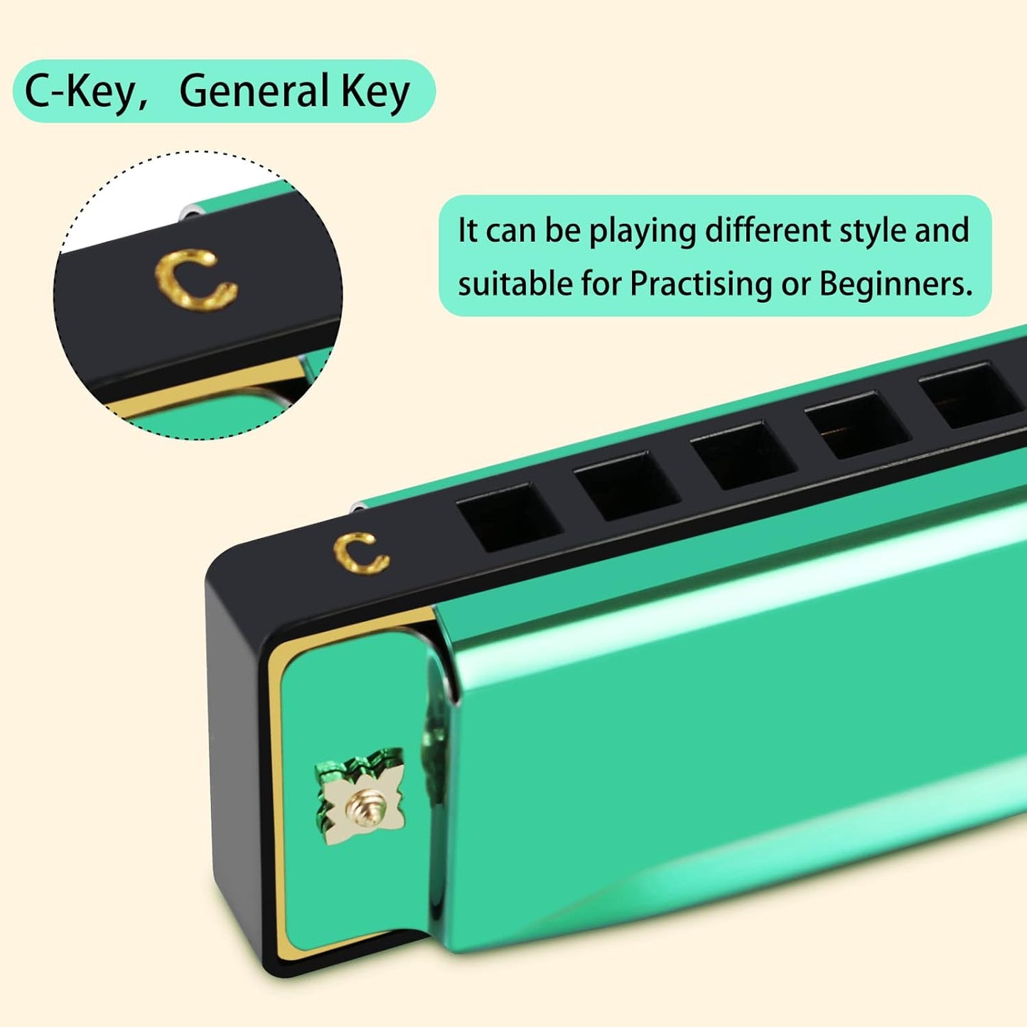 EastRock Blues Harmonica Mouth Organ 10 Hole C Key with Case, Diatonic Harmonica for Professional Player, Beginner, Students gifts, Adult, Friends, Gift