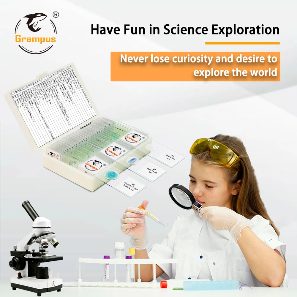 30 Prepared Microscope Slides with Specimens for Kids Students - Plants, for Biological Science Lab, Children's Science Education, Homeschooling Use