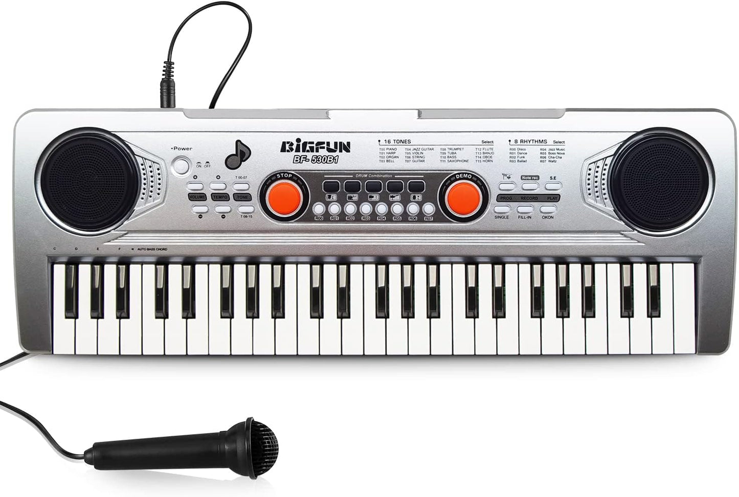 Raimy Piano Keyboard for Kids 49 Keys Portable Keyboard Piano Early Learning Educational Electronic Musical Instrument Toys Gifts for 3 4 5 6 7 8 9 Year Old Boys and Girls (Silver)