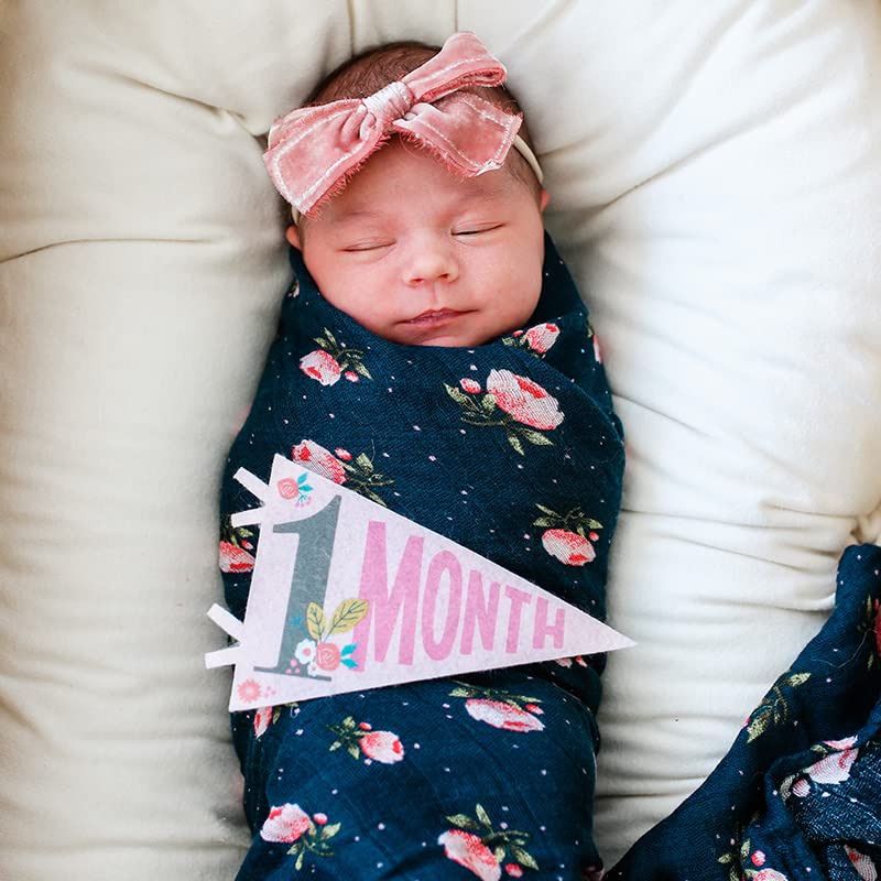 Lucy Darling Petit Milestone Pennants – Baby Monthly Milestone Pennant Flags – Newborn Photo Props & Felt Nursery Decor – Keepsake Banner Set for Baby Photos – Little Artist