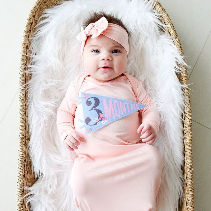 Lucy Darling Petit Milestone Pennants – Baby Monthly Milestone Pennant Flags – Newborn Photo Props & Felt Nursery Decor – Keepsake Banner Set for Baby Photos – Little Artist