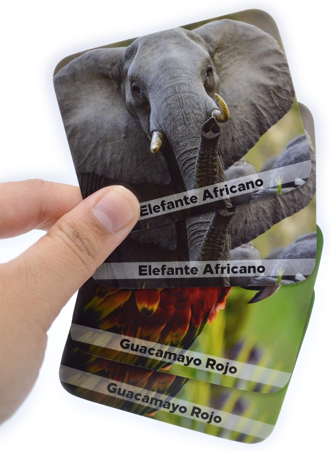 Menique Wild Animals Memory Matching Game – Spanish Edition – 80 Cards (40 Pairs) with Real Photos – Educational Game in Spanish for Kids and Adults – Includes Booklet