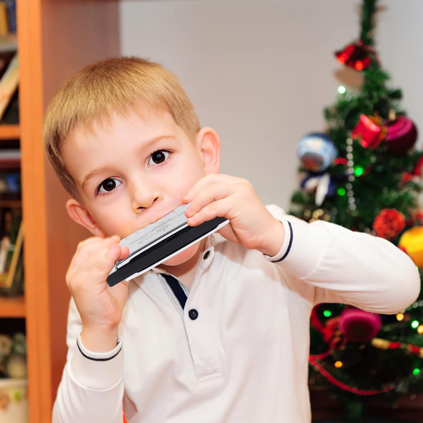 UPINS Harmonica, 4PCS Key of C Blues 10 Hole 20 Tones Titanium Color Harmonica with Case Cleaning Cloth for Beginner (Black, Silvery)