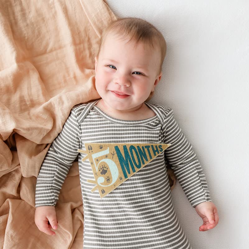 Lucy Darling Petit Milestone Pennants – Baby Monthly Milestone Pennant Flags – Newborn Photo Props & Felt Nursery Decor – Keepsake Banner Set for Baby Photos – Little Camper