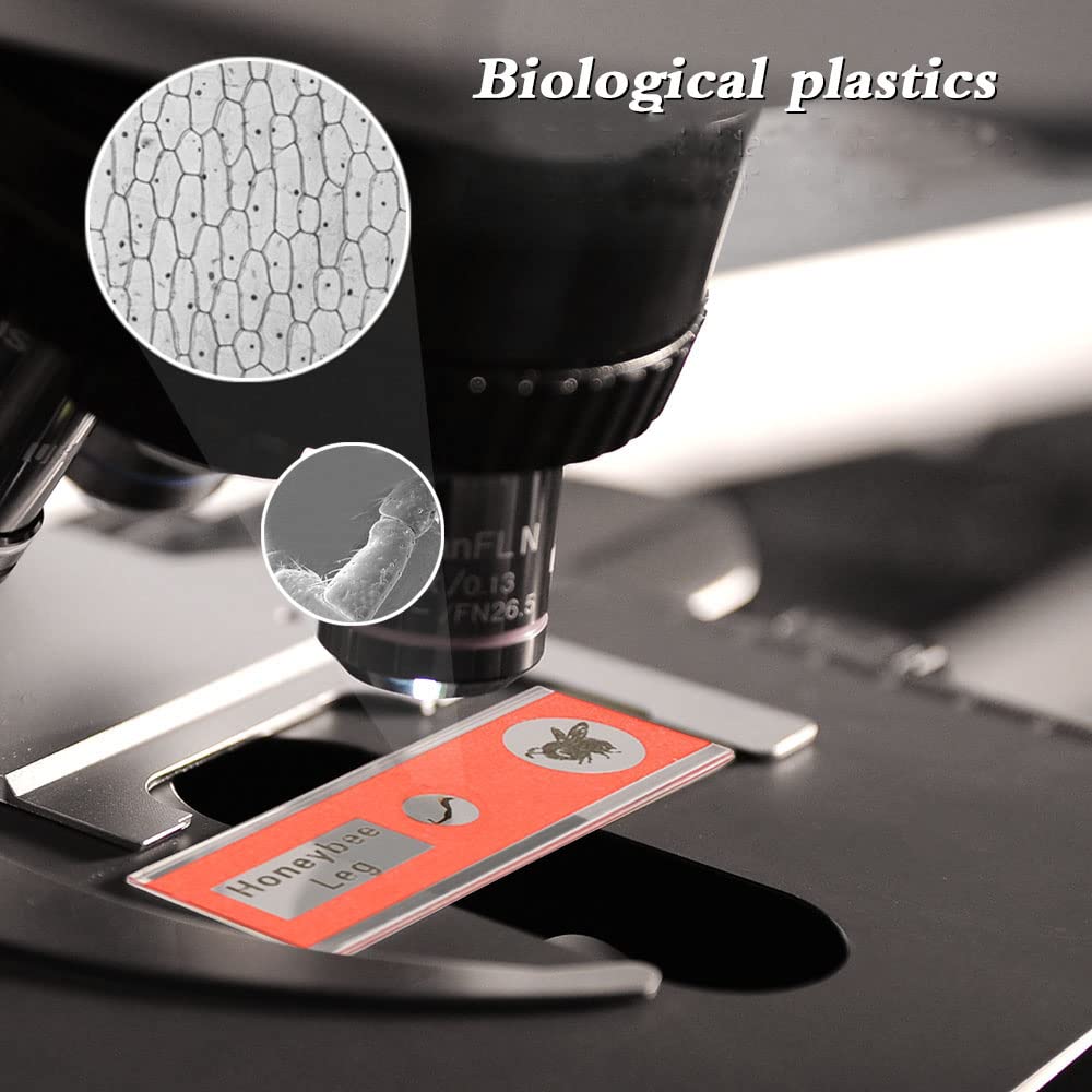 Prepared Plastic Microscope Slides with Specimens for Kids, Microscope Sample Slides Full Range of Animal/Plant/Insect/Blood Biology Slides Gift Set for Kids Microscope (60PCS)