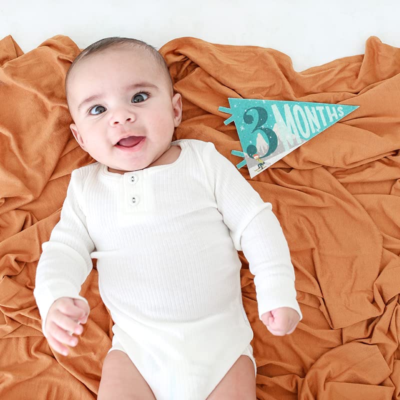 Lucy Darling Petit Milestone Pennants – Baby Monthly Milestone Pennant Flags – Newborn Photo Props & Felt Nursery Decor – Keepsake Banner Set for Baby Photos – Little Camper