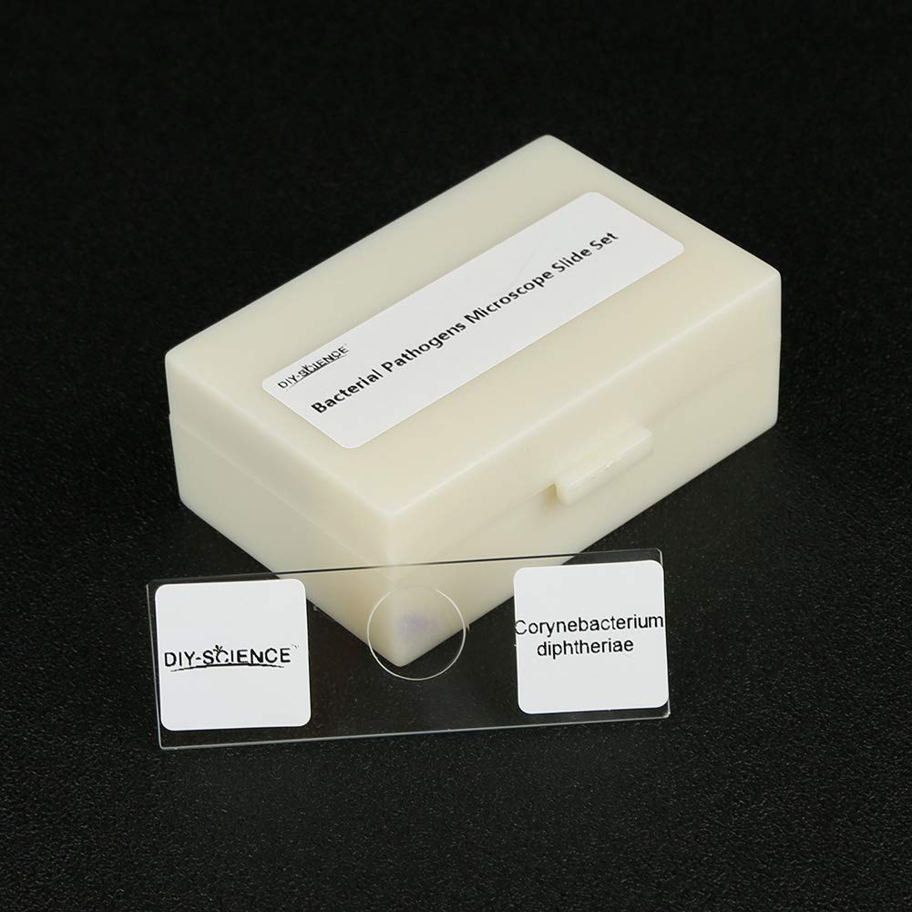 Prepared Bacterial Pathogens Microscope Slide Set, 12pcs Demonstrates The Bacteria Pathogens Responsible for Diseases of Animals