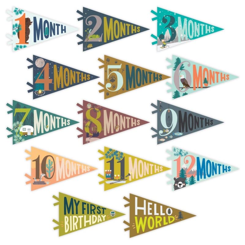 Lucy Darling Petit Milestone Pennants – Baby Monthly Milestone Pennant Flags – Newborn Photo Props & Felt Nursery Decor – Keepsake Banner Set for Baby Photos – Little Camper