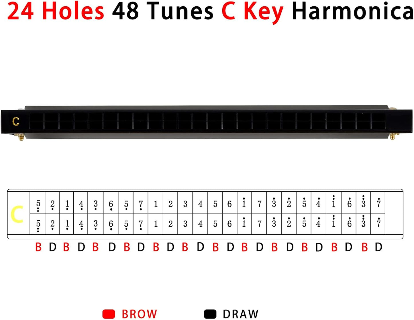 EastRock Blues Harmonica 24 Hole C Key with Case, Mouth Organ Harp, Diatonic Harmonica for Beginner, Adult, Kids, Professional, Students, Friends, Gifts