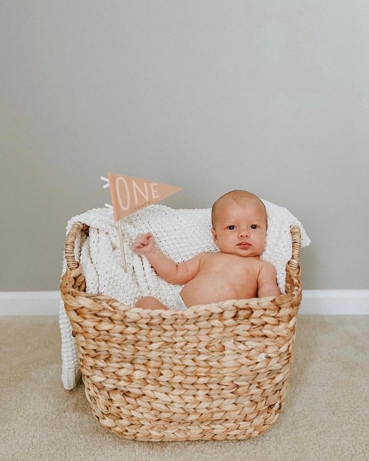 Lucy Darling Petit Milestone Pennants – Baby Monthly Milestone Pennant Flags – Newborn Photo Props & Felt Nursery Decor – Keepsake Banner Set for Baby Photos – Mountain Fields