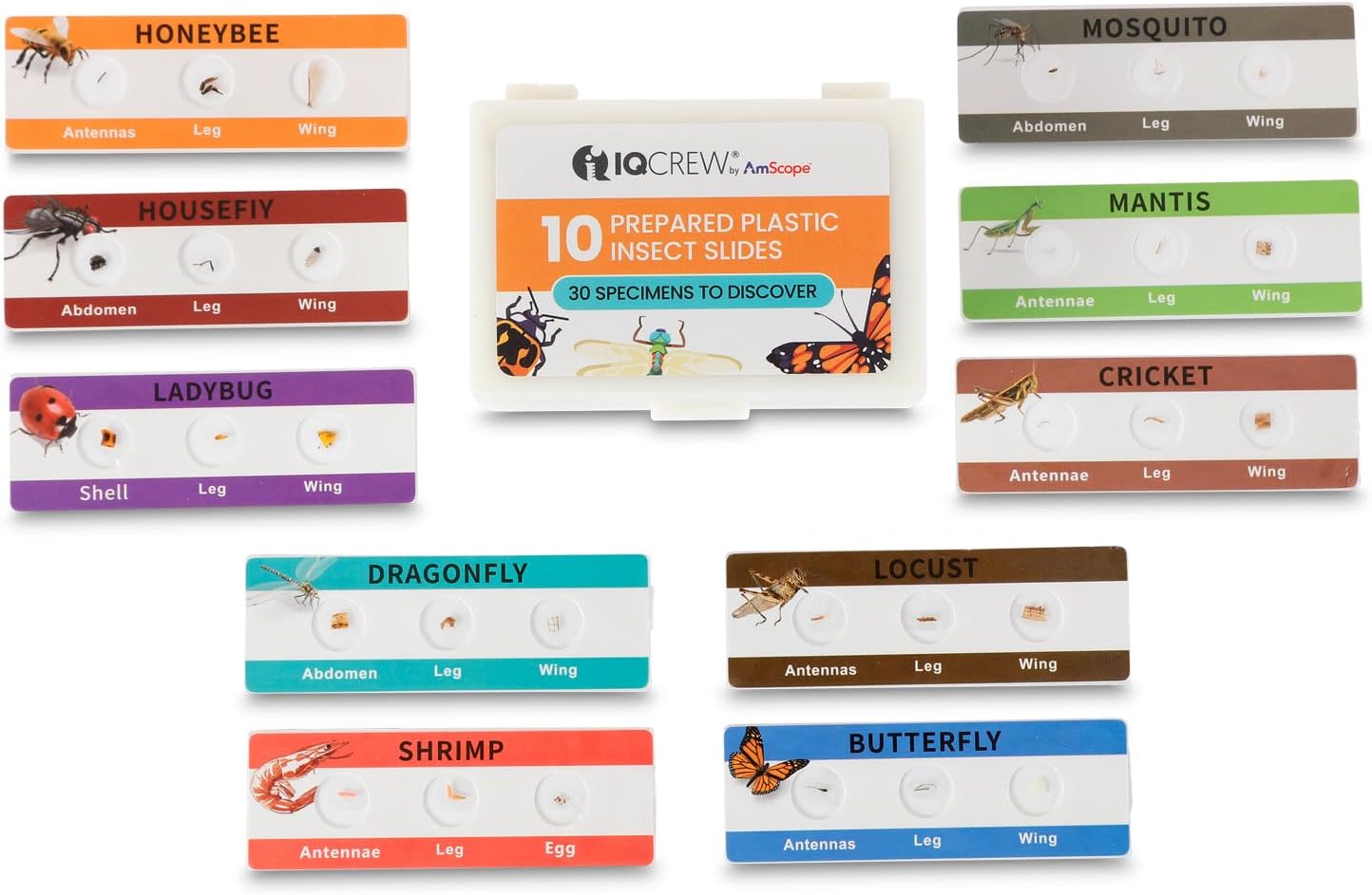 AMSCOPE-Kids 120X-1200X Black Metal Arm Starter Kids Student Microscope Kit with Fossil Dig Activity Kit and Insect Slides - M30-ABS-KT2-KVB2