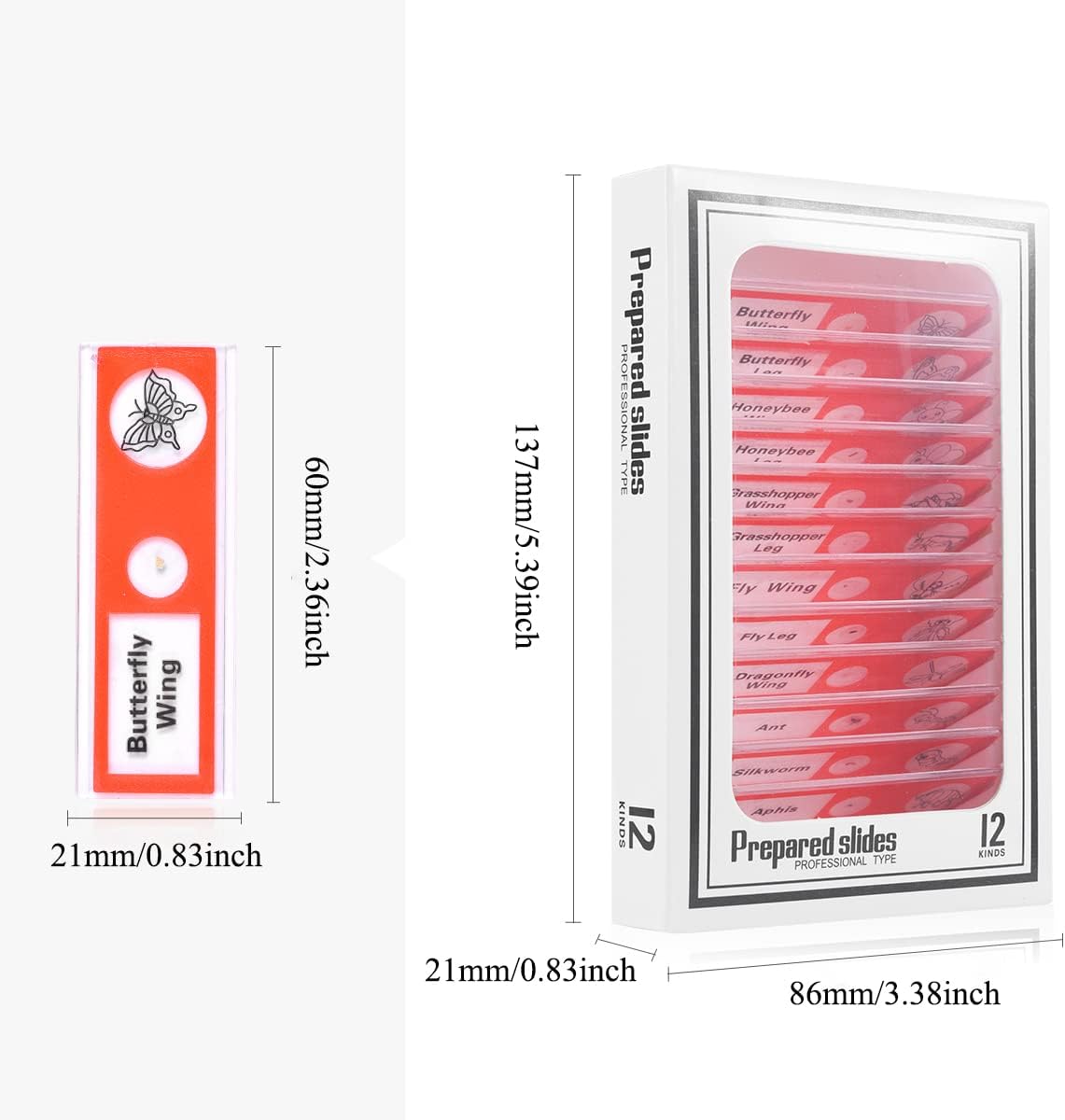 Plastic Prepared Microscope Slides for Kids, Cainda 60pcs Animals Insects Plants Flowers Biological Sample, Stereo Microscope Slide for Students Adult Biology Science Programs