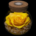 Preserved Real Roses with Colorful Mood Light Wishing Bottle,Eternal Rose，Never Withered Flowers, a Gifts for Women 4.3inch 1pcs (Yellow)
