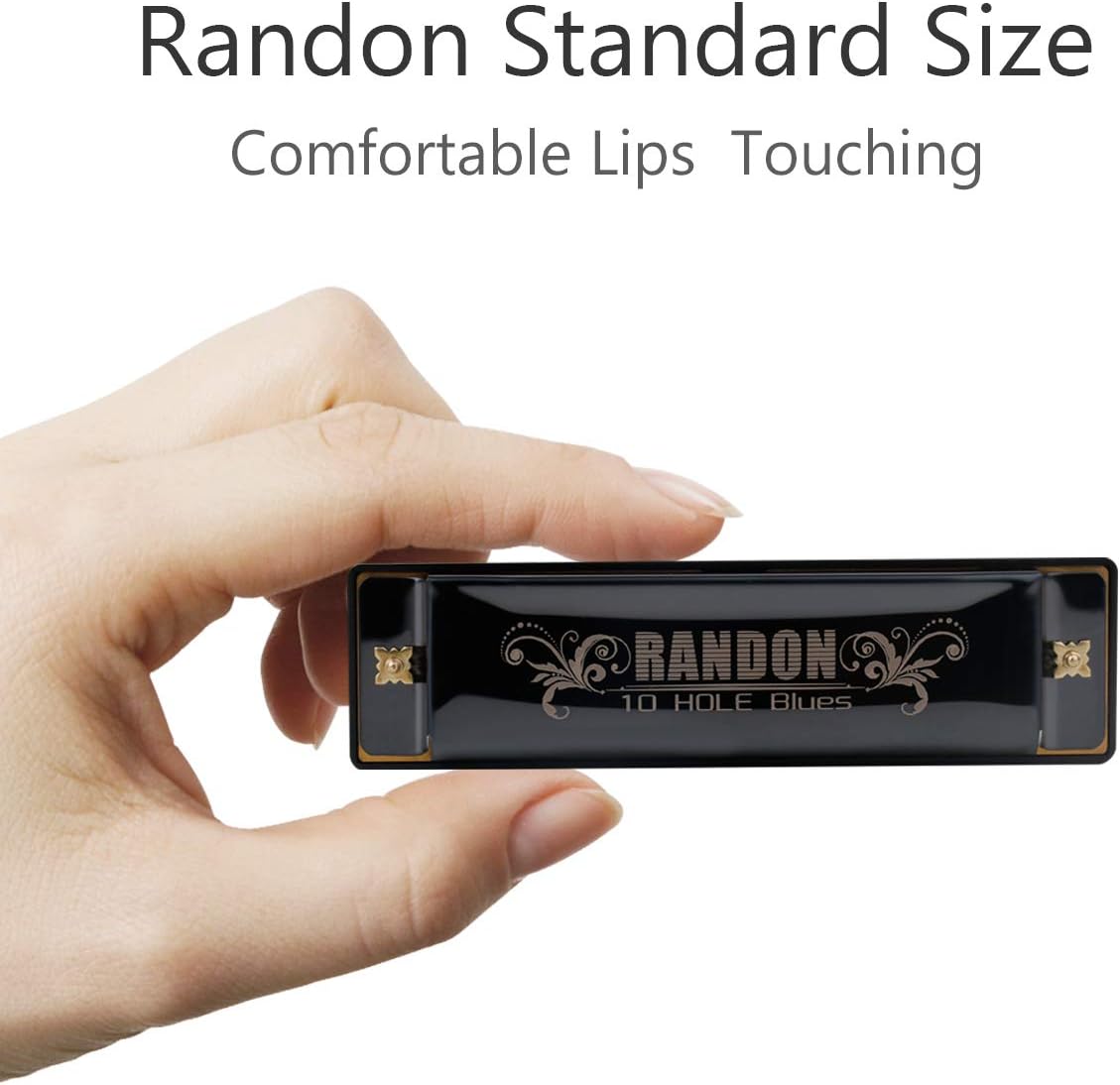 Randon Black Harmonica Key of C, 10 Holes Diatonic Harmonicas for Adults/Kids/Beginners, Blues Harmonica as Gift, with Case, Clean Cloth and Manual