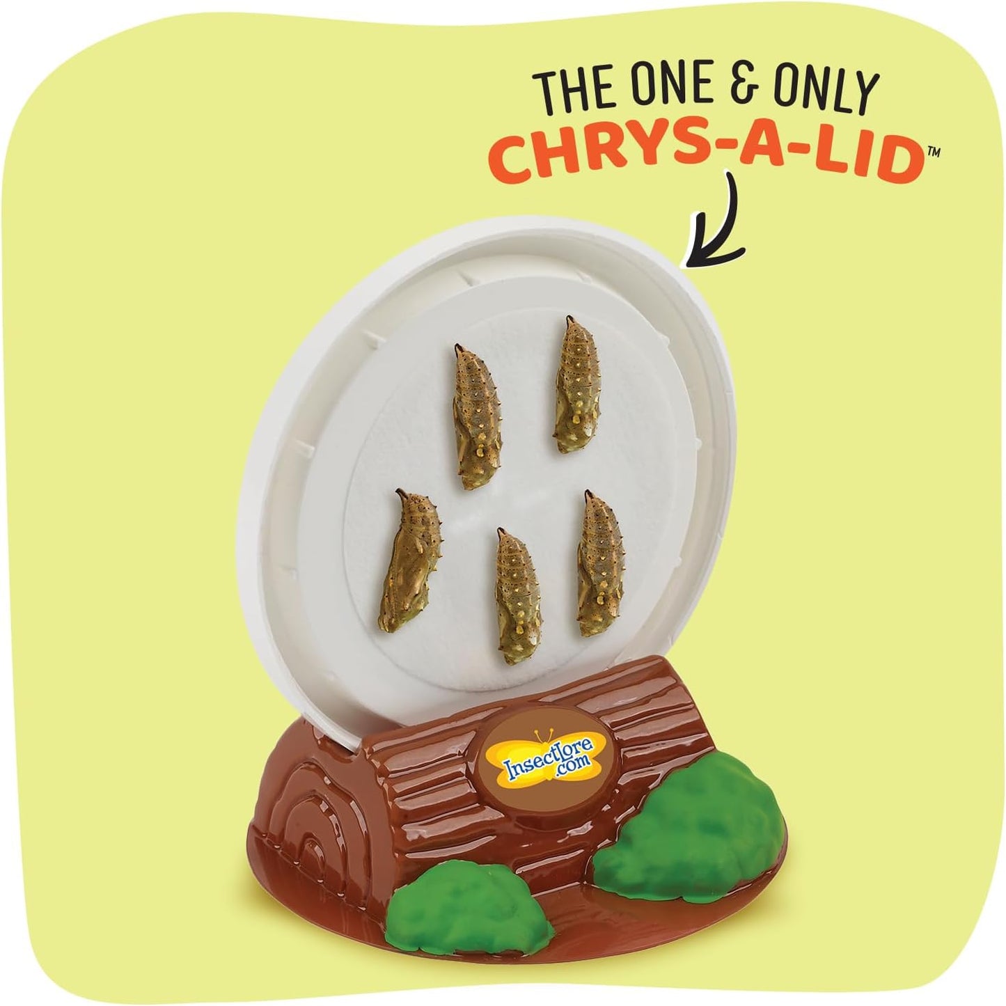 Insect Lore Raise and Release Butterfly Garden Kit – Caterpillar Habitat with redeemable Voucher – STEM-accredited Live Butterfly Growing Kit for Kids, Classrooms, and Homeschool Learning