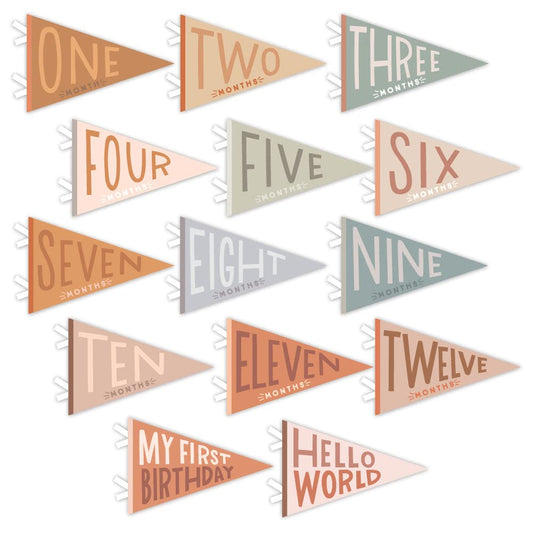 Lucy Darling Petit Milestone Pennants – Baby Monthly Milestone Pennant Flags – Newborn Photo Props & Felt Nursery Decor – Keepsake Banner Set for Baby Photos – Mountain Fields