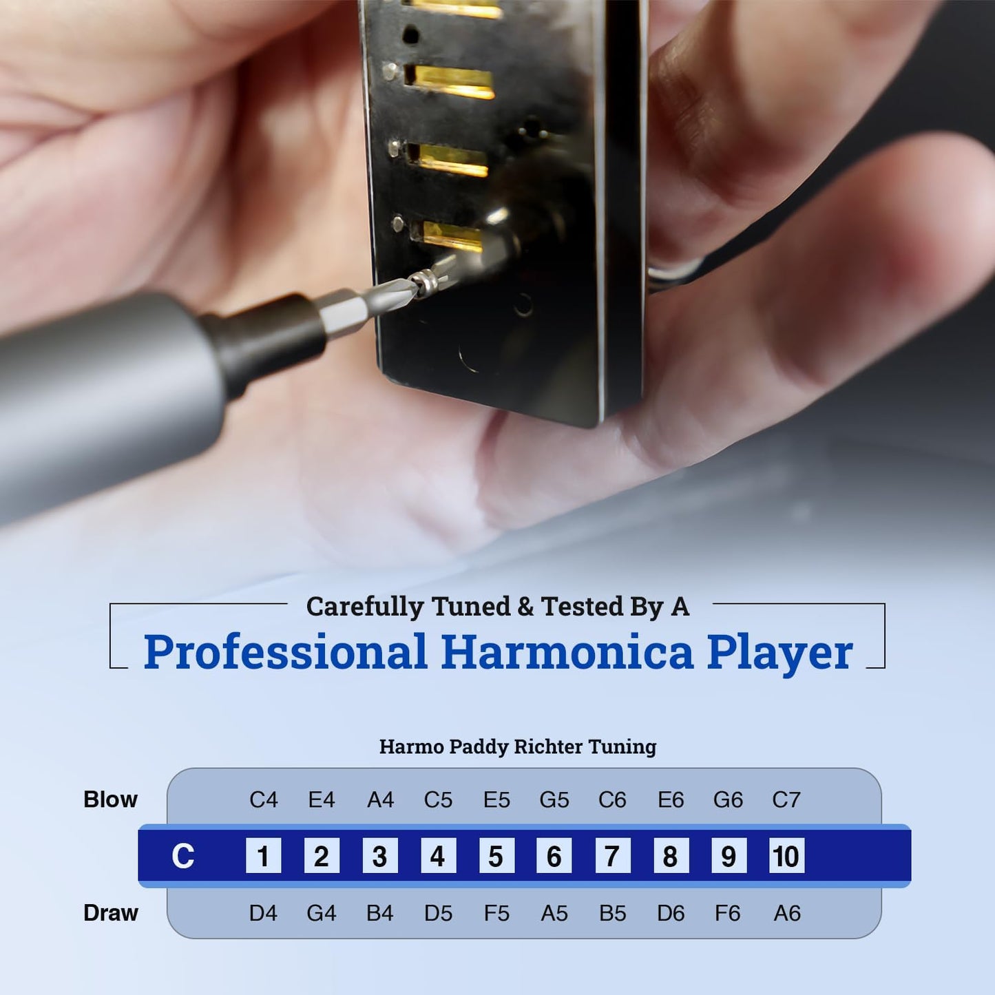Harmo Polar Diatonic Harmonica Key of D, Paddy Richter Tuning - Specialized for Irish, Bluegrass, Celtic, and Folk Music, Mouth Organ With Case, Harmonica for Kids, Adults, Beginners & Professionals