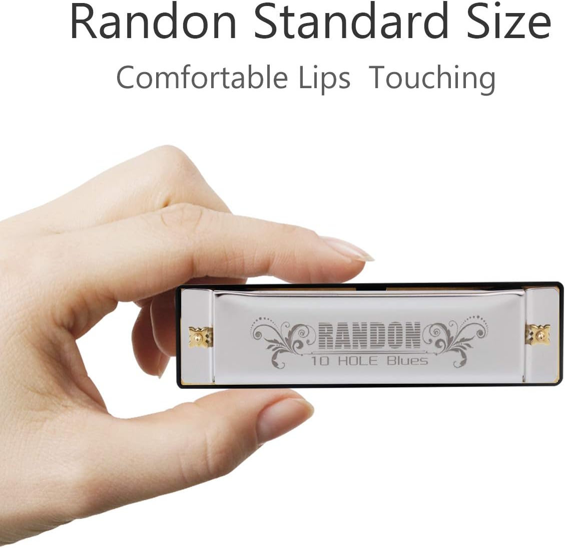 Randon Silver Harmonica Key of C, 10 Holes Diatonic Harmonicas for Adults/Kids/Beginners, Blues Harmonica as Gift, with Case, Clean Cloth and Manual