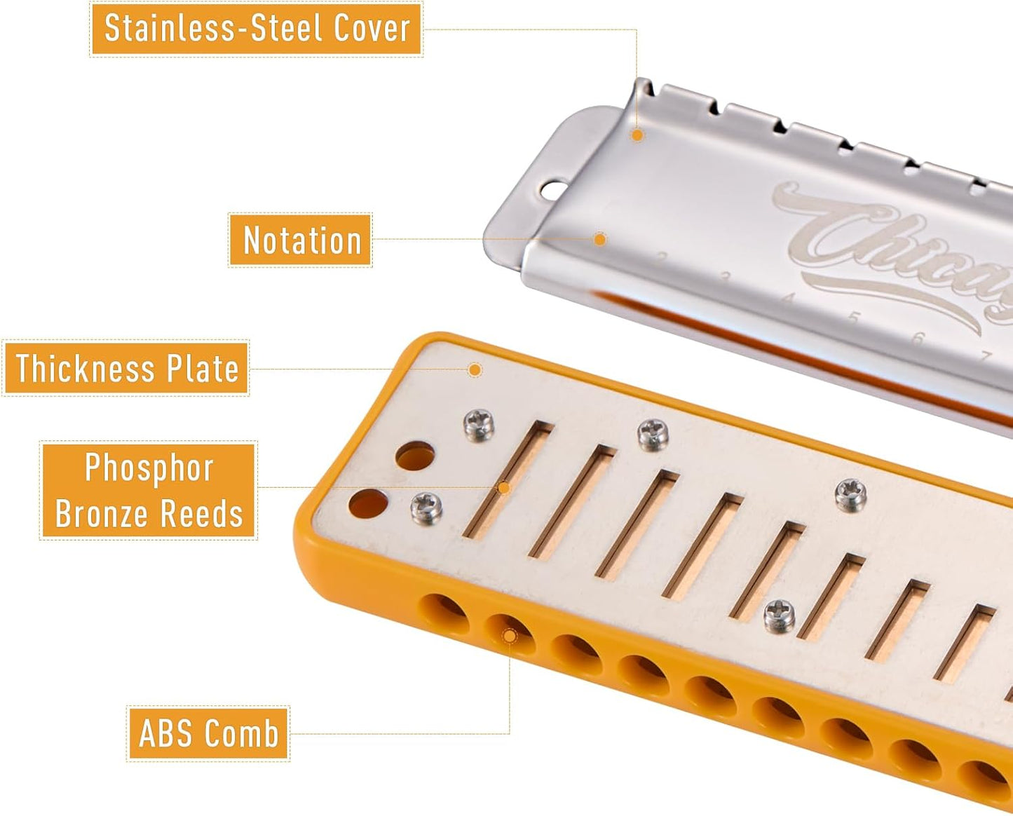 Harmonica JDR Blues key of C 10 Holes 20 Tones Harps Armonica for Adults Kids Professional Beginners Mini Mouth Organ with Case Chicago