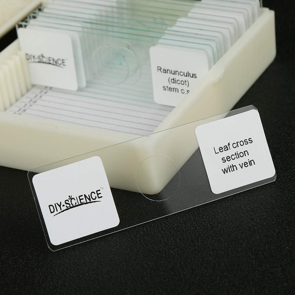 Prepared Microscope Slides Set for Apologia Biology, Pack of 16pcs Specimens Specifically for Biology Course (Apologia Slides)