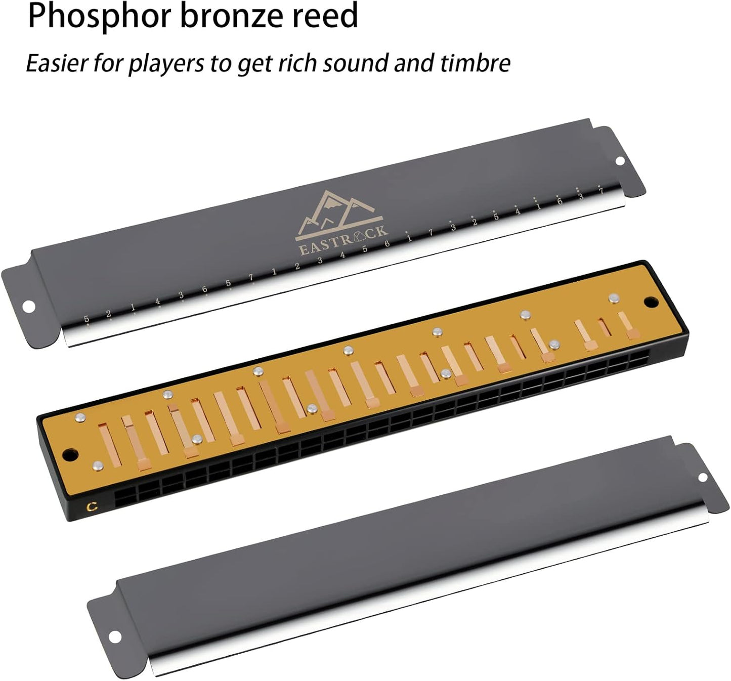 EastRock Blues Harmonica 24 Hole C Key with Case, Mouth Organ Harp, Diatonic Harmonica for Beginner, Adult, Kids, Professional, Students, Friends, Gifts