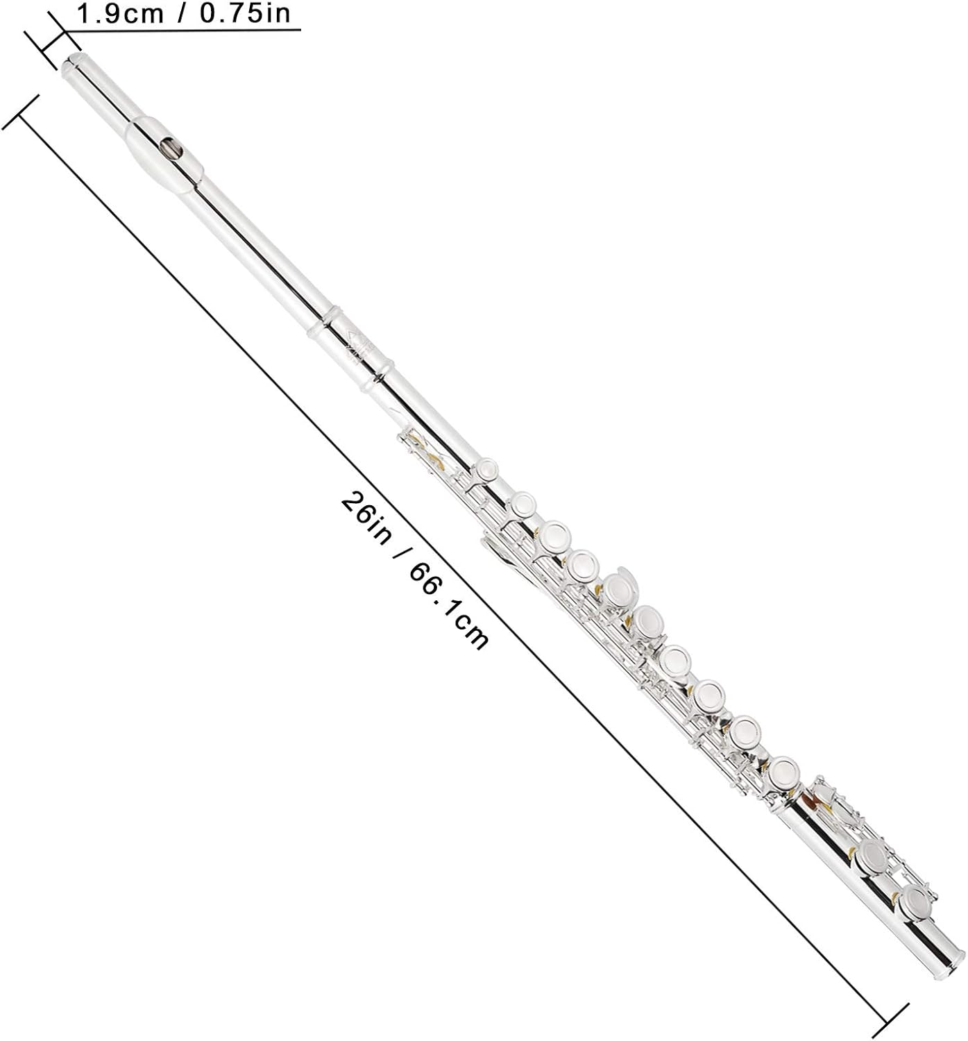 EASTROCK Silver Plated Flute Instrument for Beginner Kids Student，Closed Hole Flutes 16 Keys C Flute with Carrying Case,Stand，Cleaning kit，Gloves，Tuning Rod(Silver Plated)